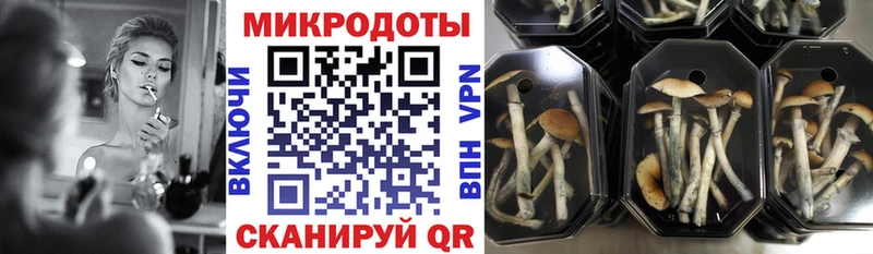 Купить  Пыть-Ях  Галлюциногенные грибы мухоморы 